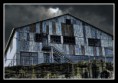 /album/australia/libro-cockatoo-island-page-37-jpg1/